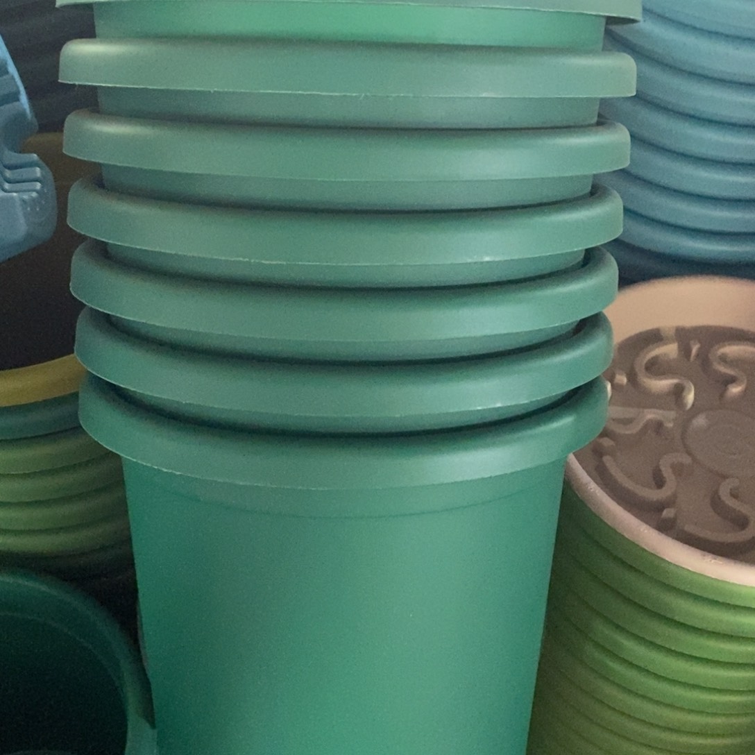 特价3号祖母绿15个无拖