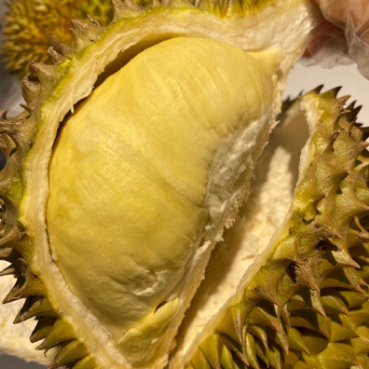 泰国树熟新鲜金枕榴莲核小（一物一拍）3-8斤金枕泰国