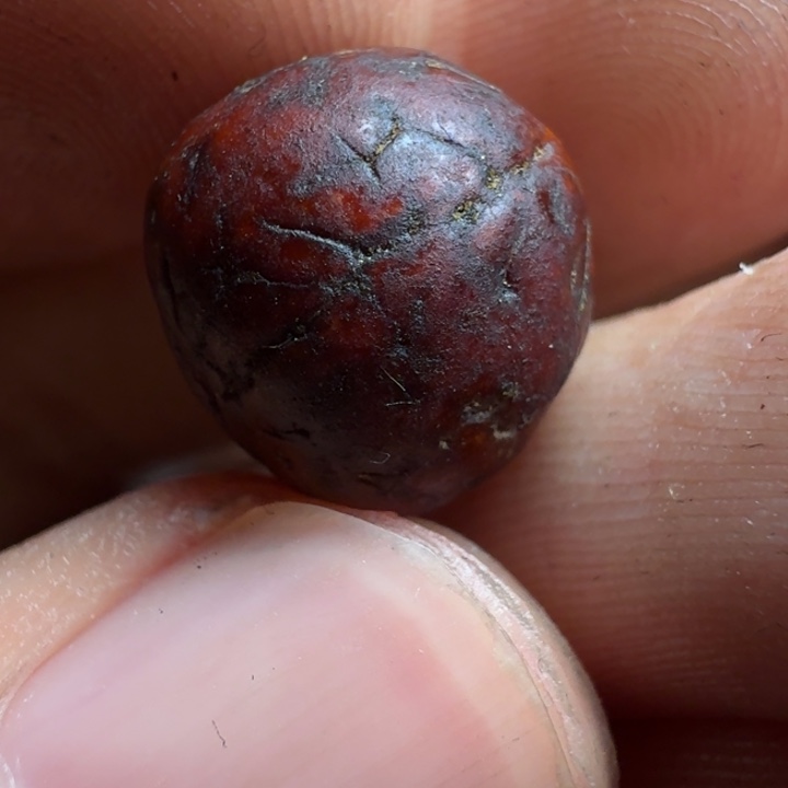 且***生泥塑藏传泥塑小元素