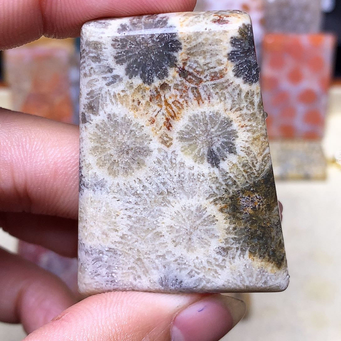 硅化玉珠宝奇石合金郝*子