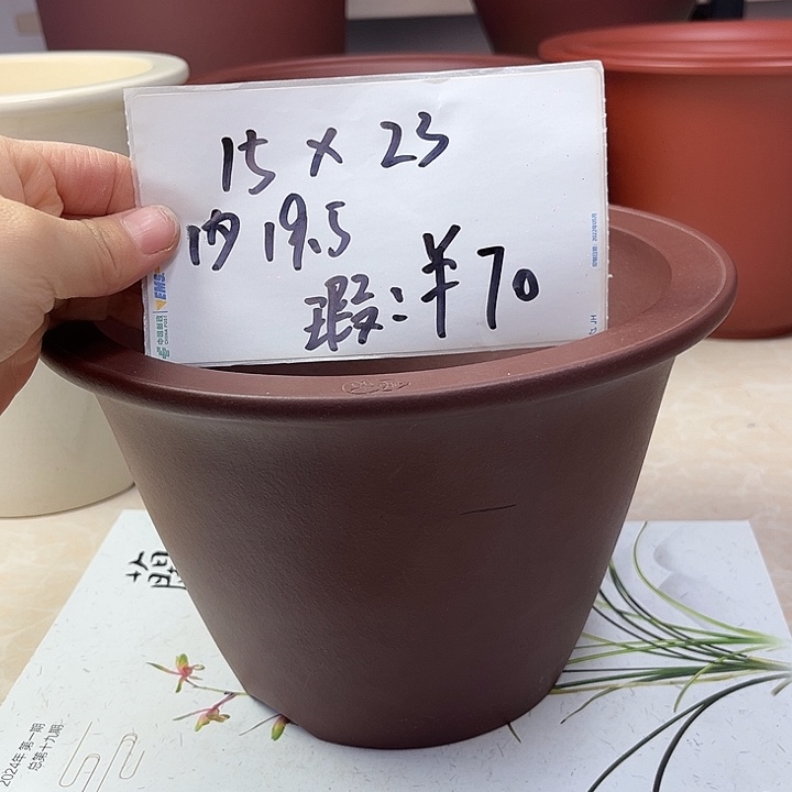 阳***兰花盆紫砂8888888888888888888888