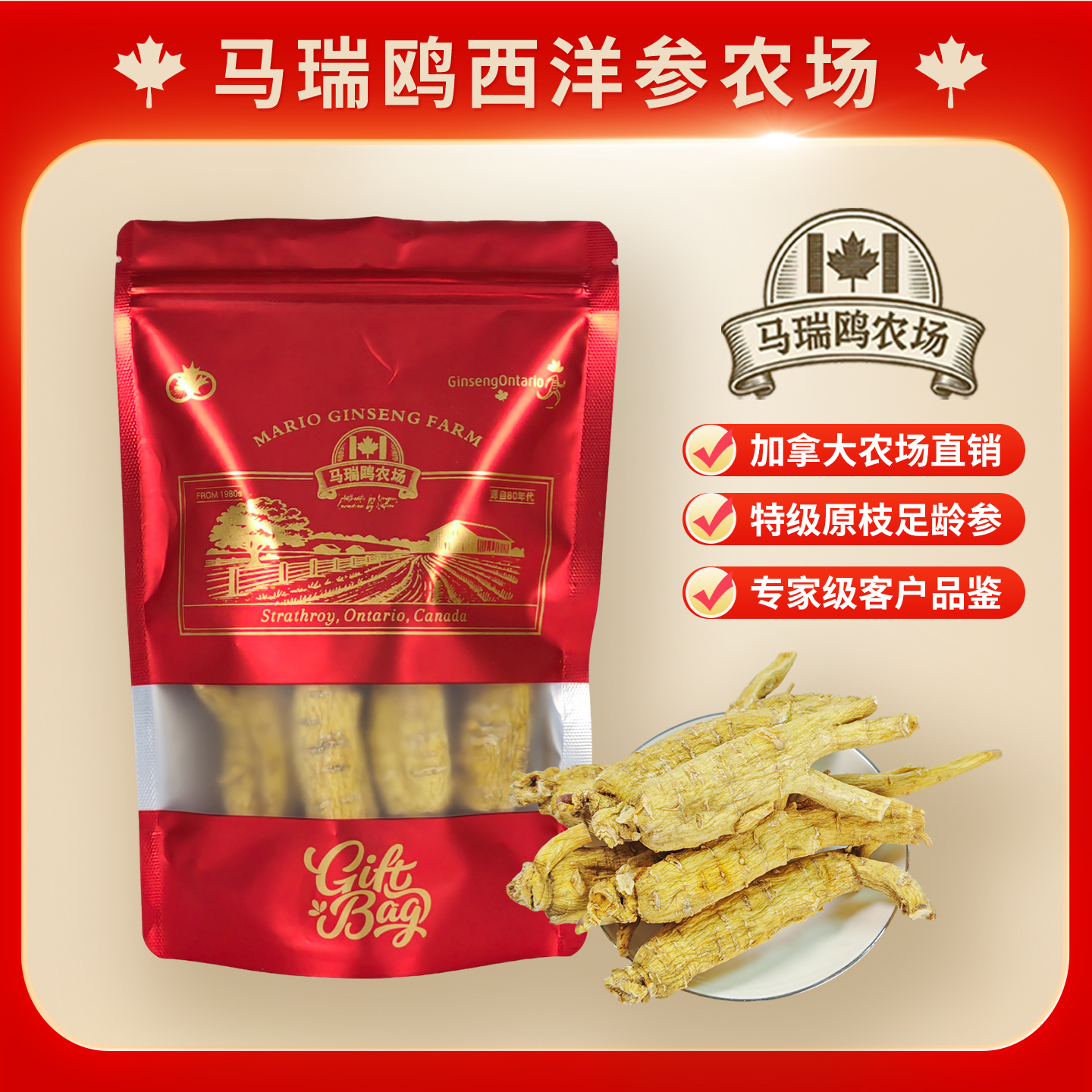 加拿大进口西洋参五年足龄赛级西洋参250g袋装（原枝特大号）