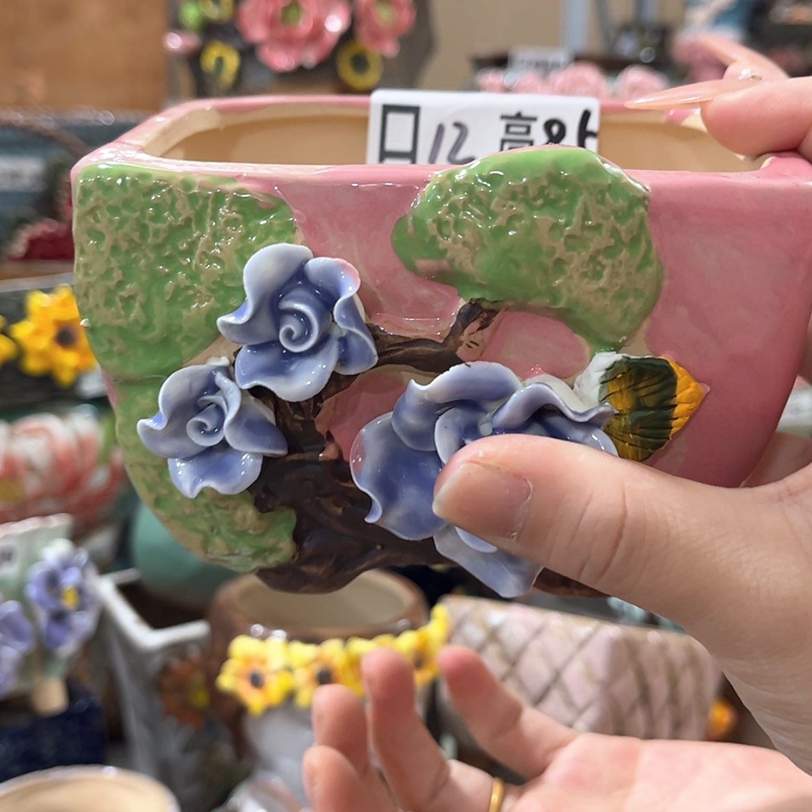 【闪购商品】红陶福利