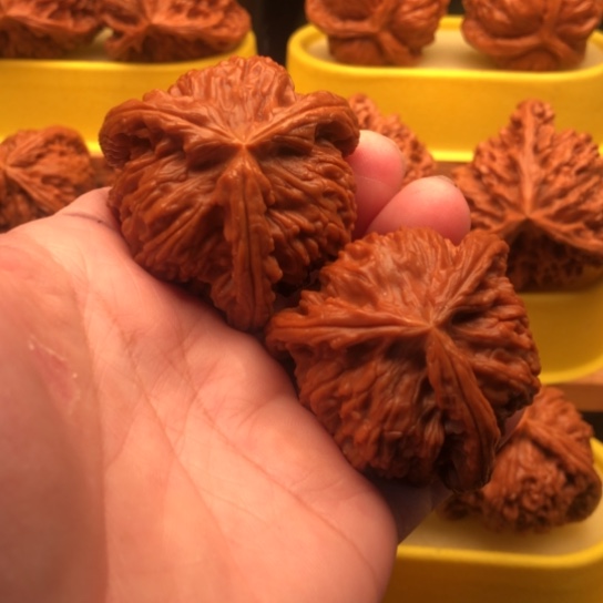 e***o核桃核桃核桃核桃核桃