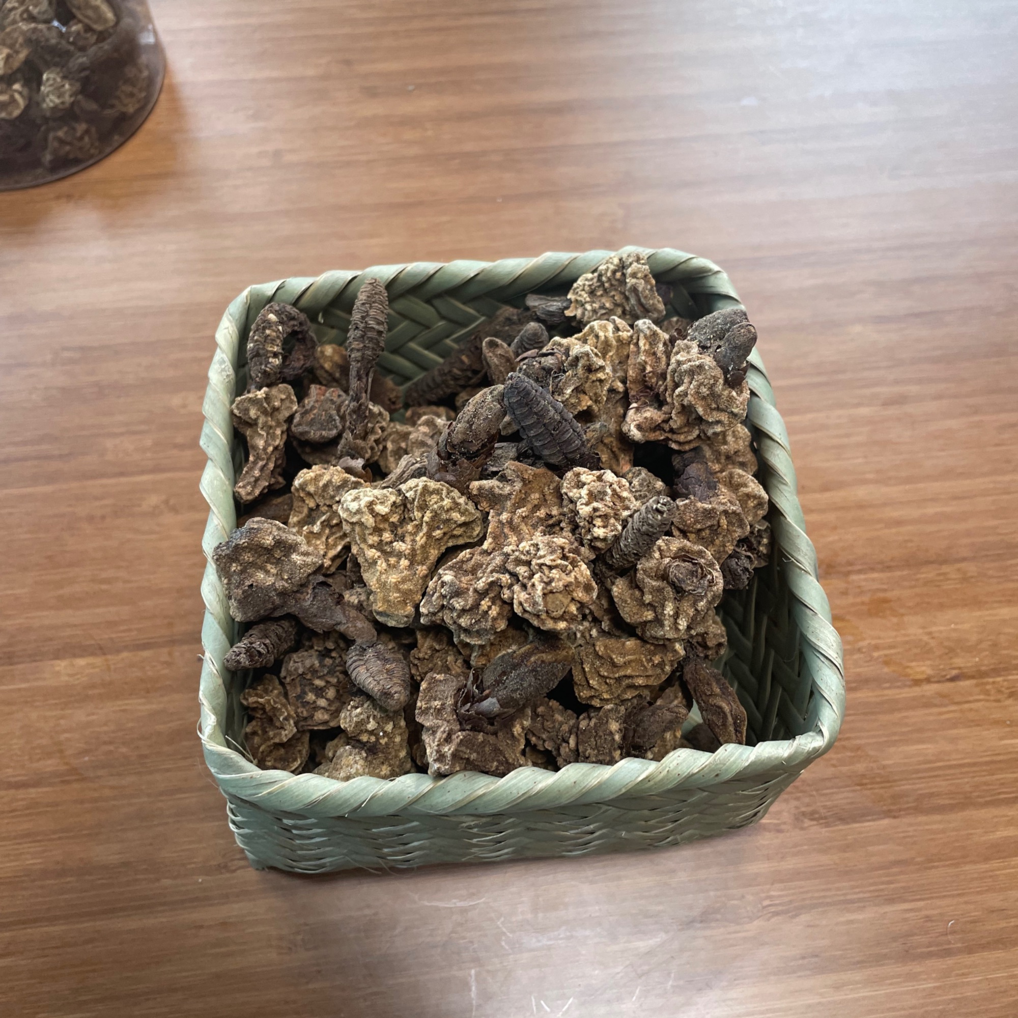 西藏墨脱 回春草 野蛮生长 天然 不干预