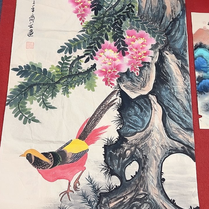 横款新人直播，放大漏