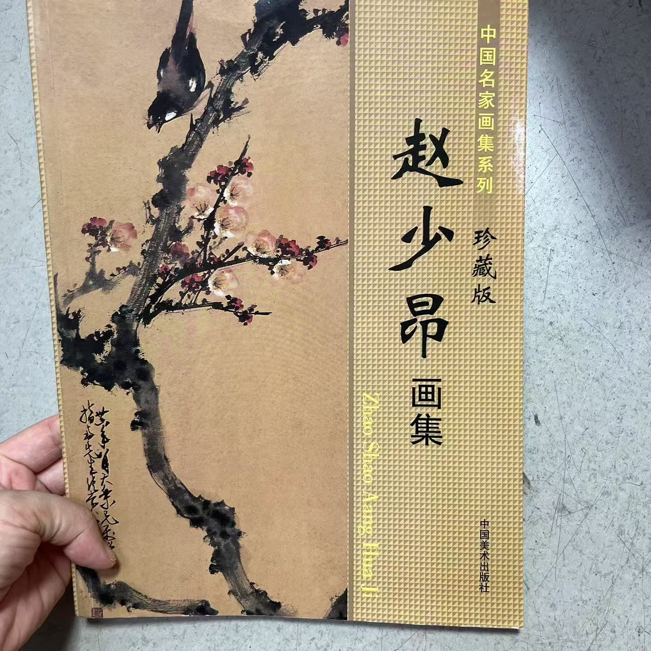 微瑕 赵少昂画集 名家画集花鸟 珍藏版16开