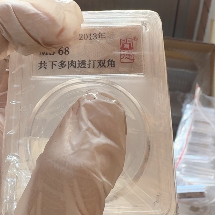 其他普通金属多肉，透打，双角币