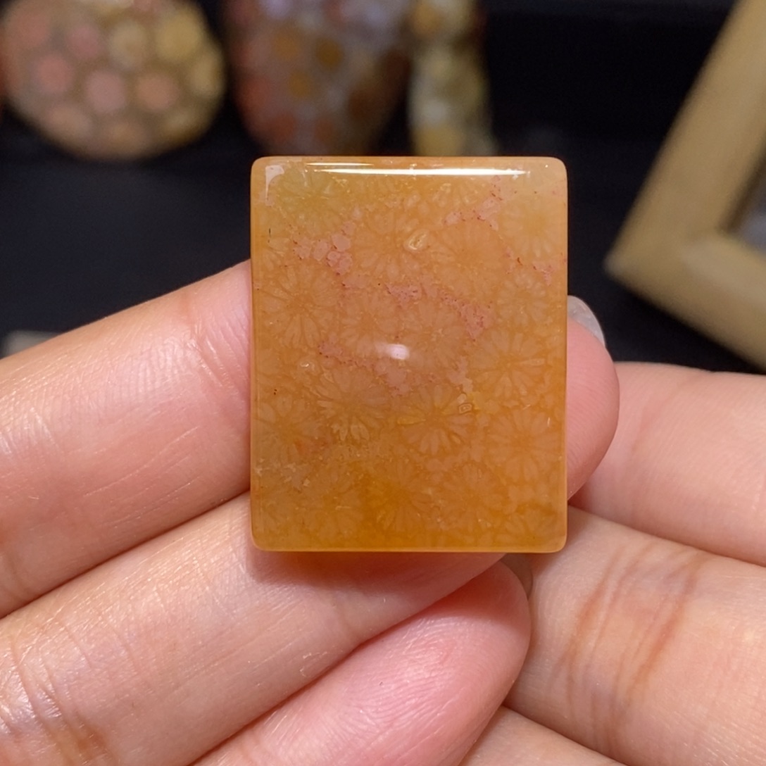 【闪购商品】硅化玉颈饰未镶嵌