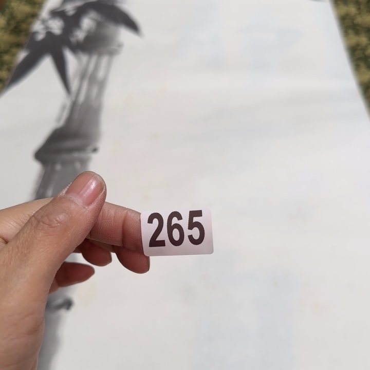 森**路哈哈哈哈哈265