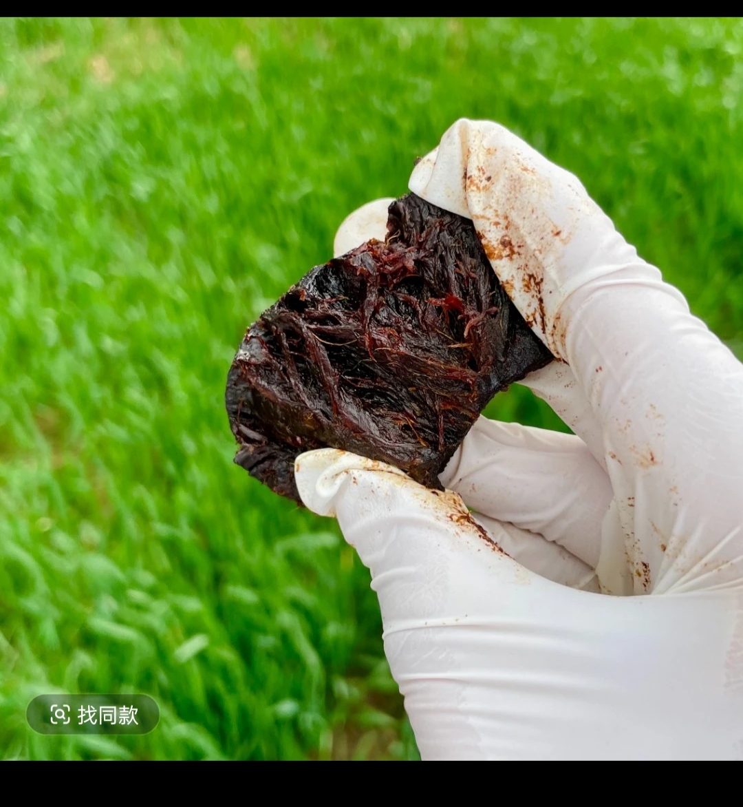 九蒸九晒  仙人余粮  九华山多花果  开袋即食