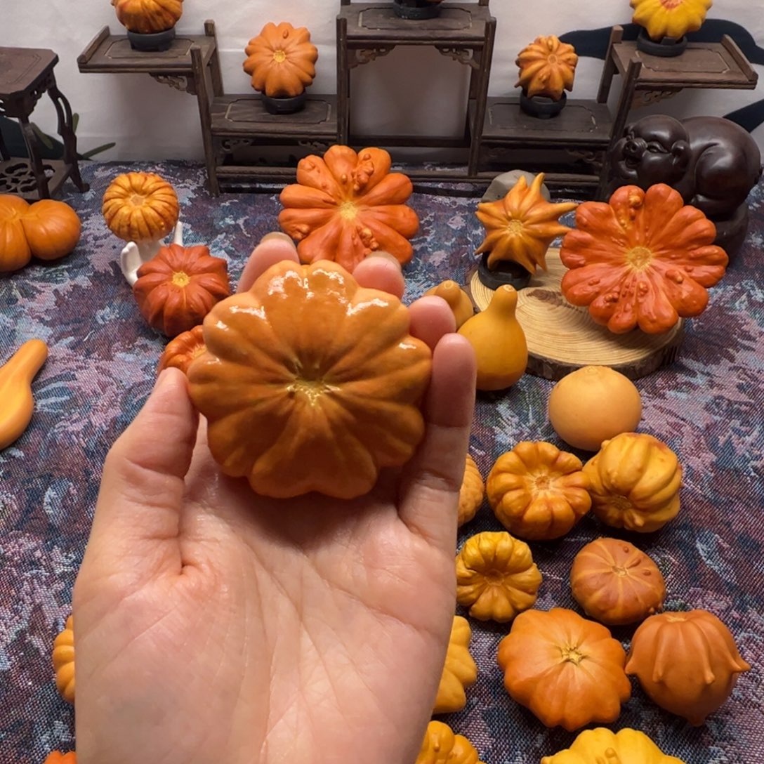 快****墨西哥葫芦小红花