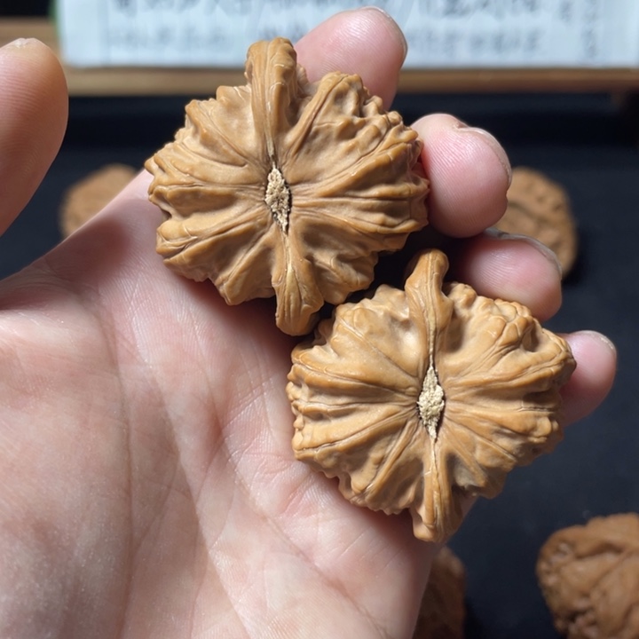 ****l文玩核桃把件白狮子42mm有修
