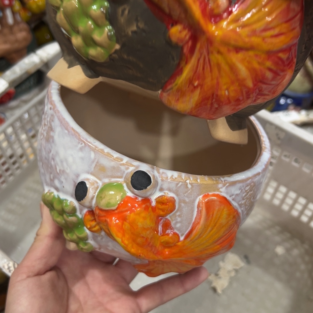 花盆拍满20元发货，退款的拉黑