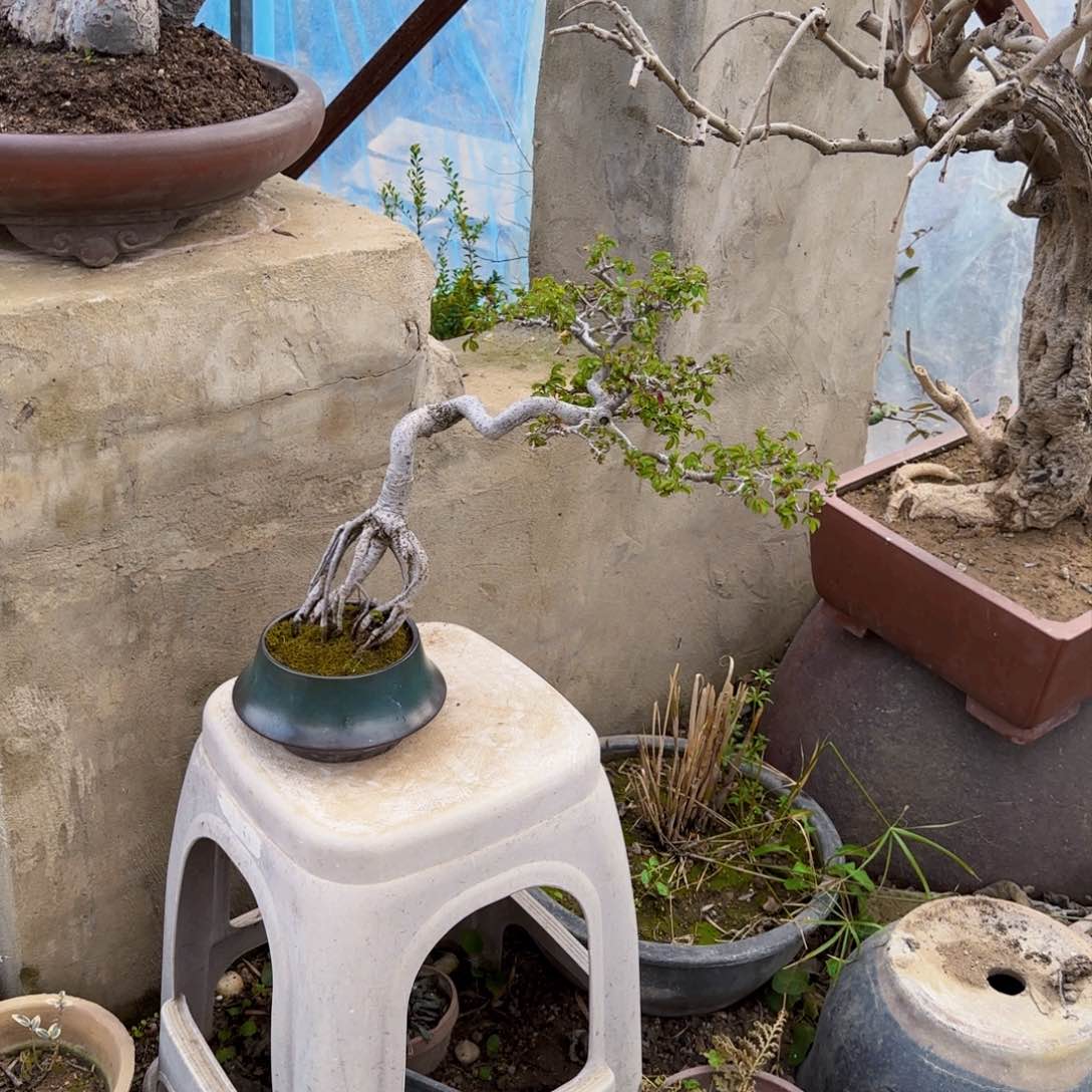 1天***吧1111111111111