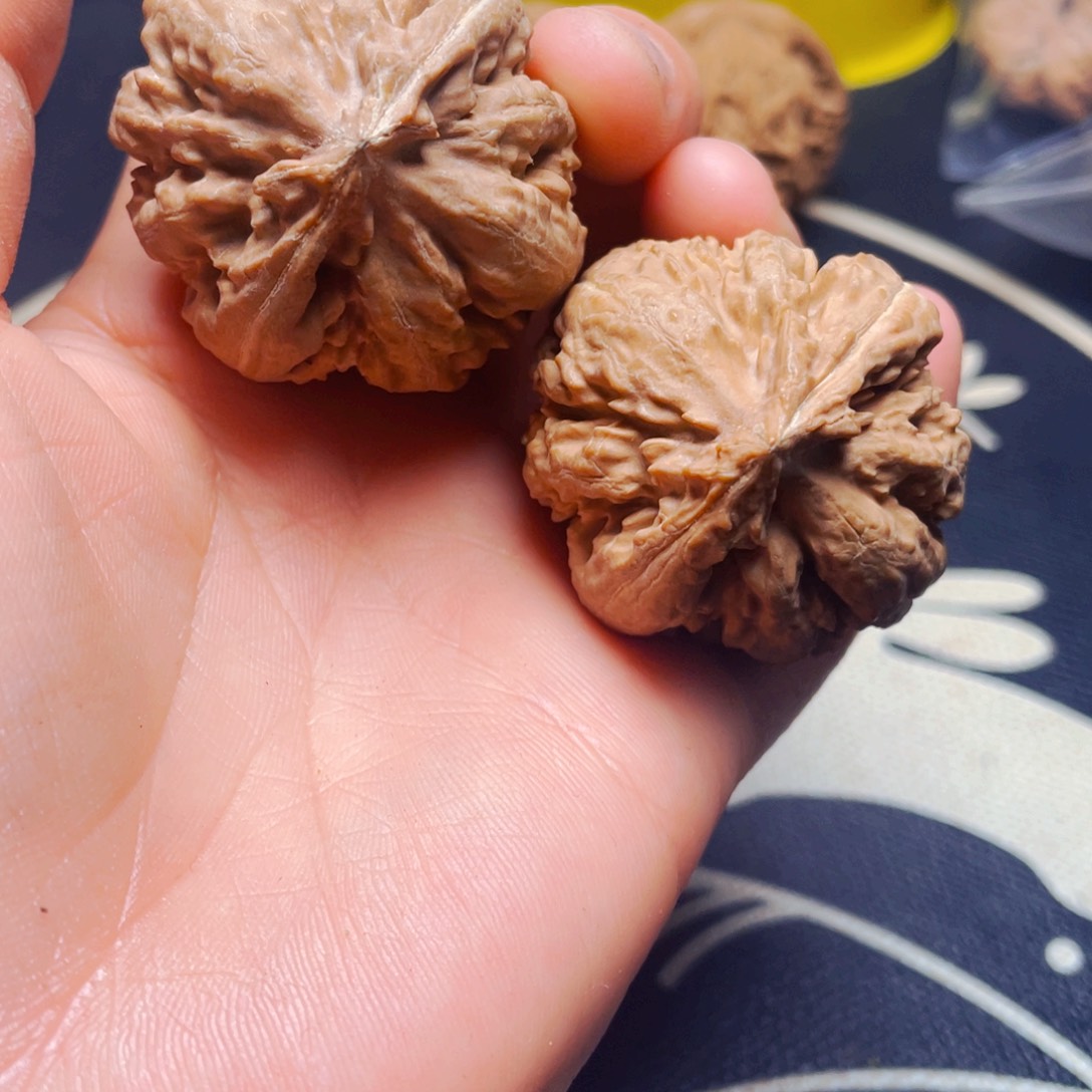 文玩核桃把件霸王龙一对