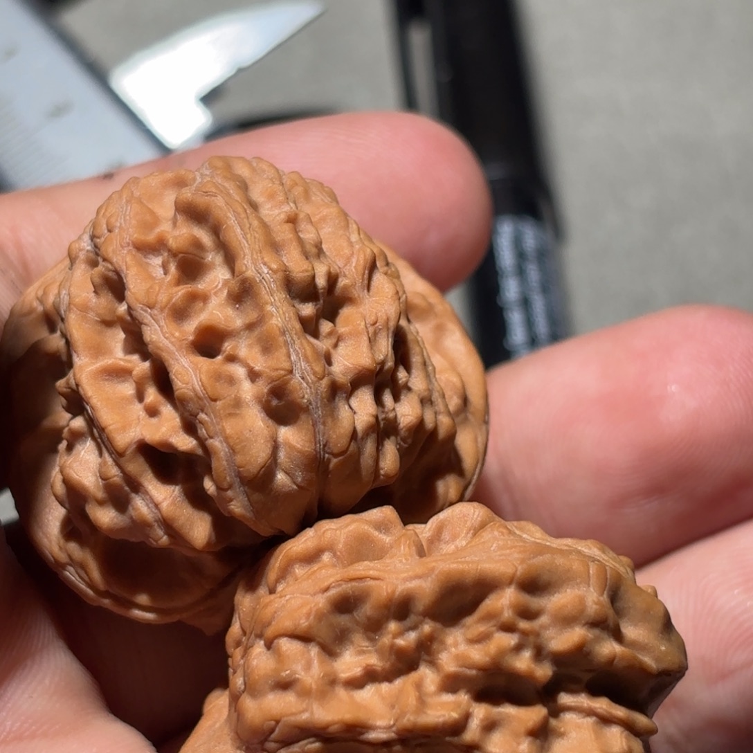 桃核吊坠蓟县红马蹄