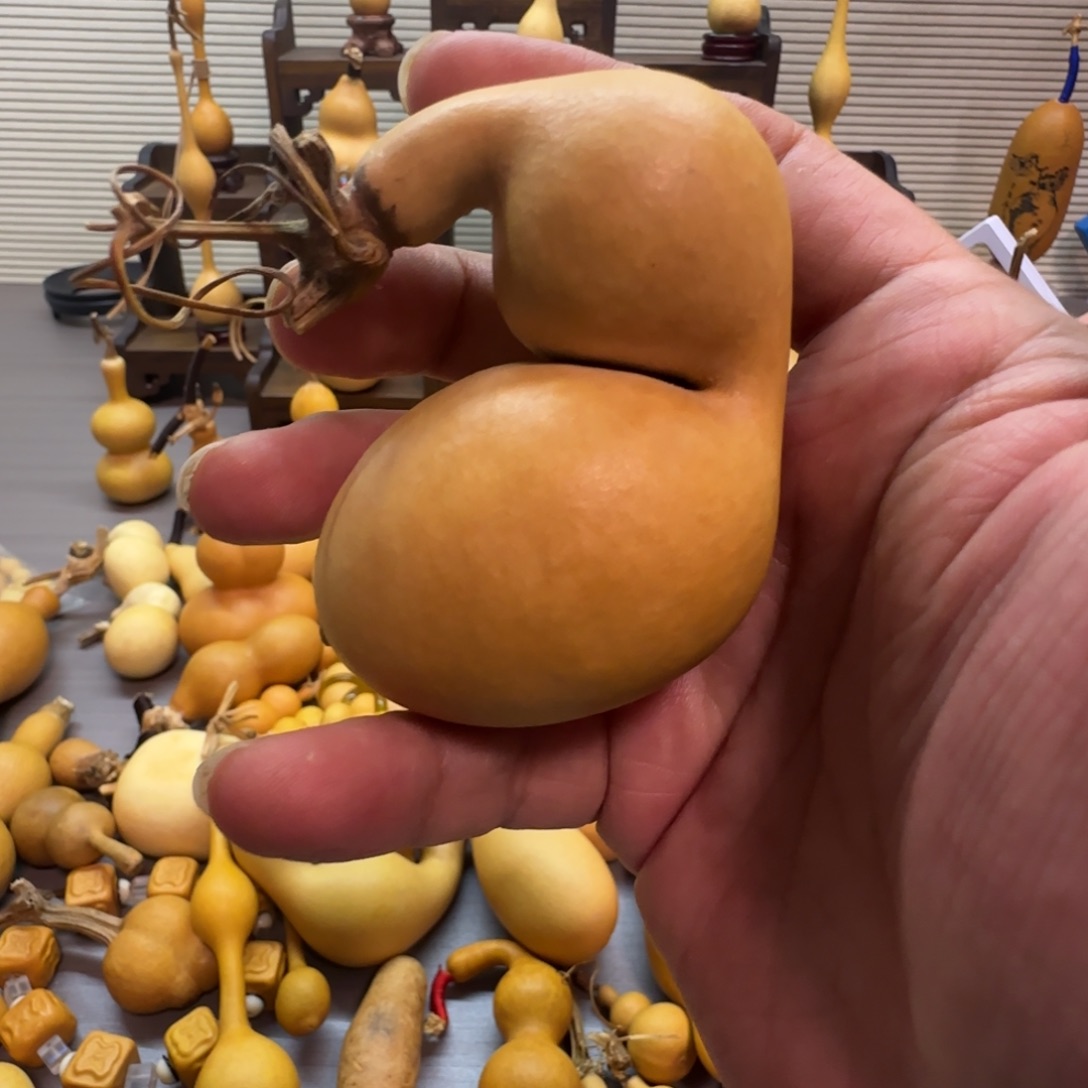 远***～有机玻璃铁皮贴肚大蚂蚁