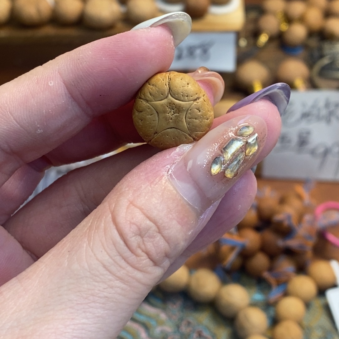 吊坠凤眼菩提16.3五星单颗厚12