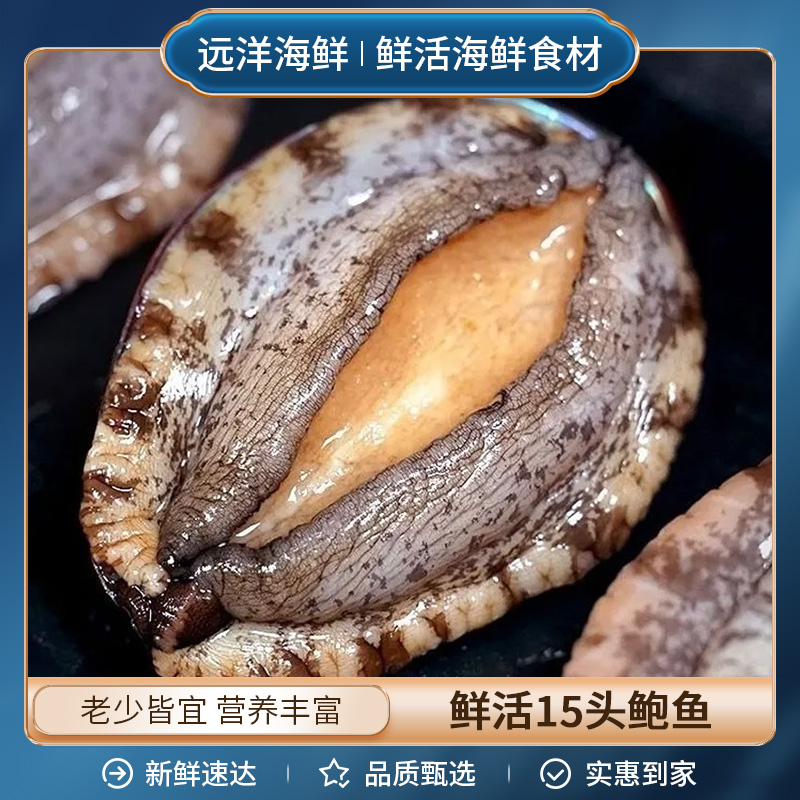 鲜活15头鲍鱼 到手8只