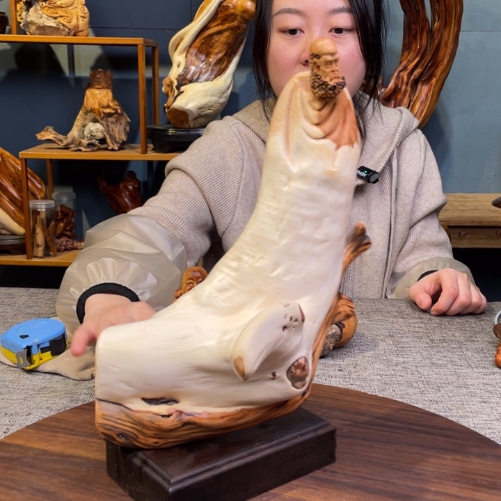 柏木（崖柏）关注一下