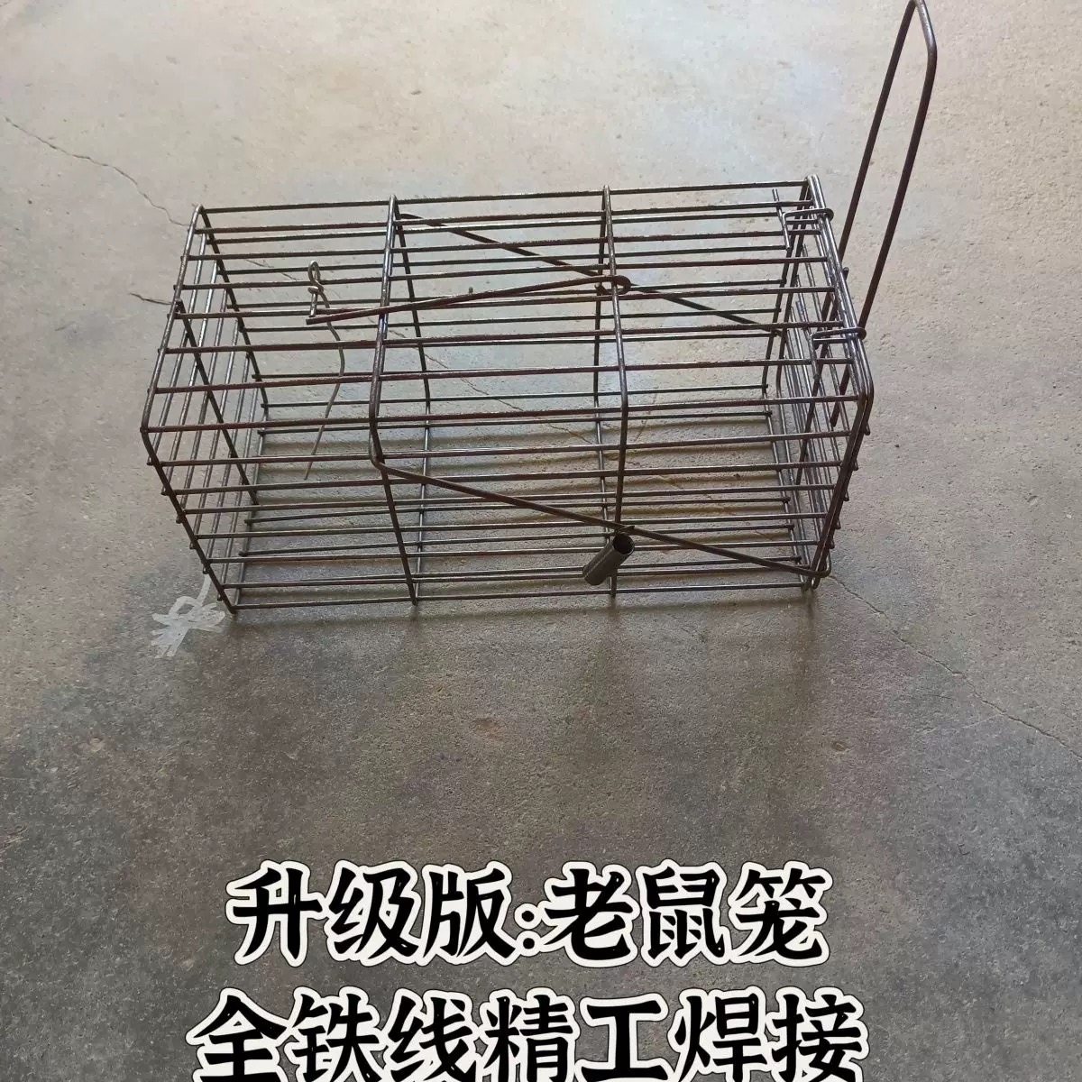 新款老鼠笼加厚钢筋老鼠笼10个