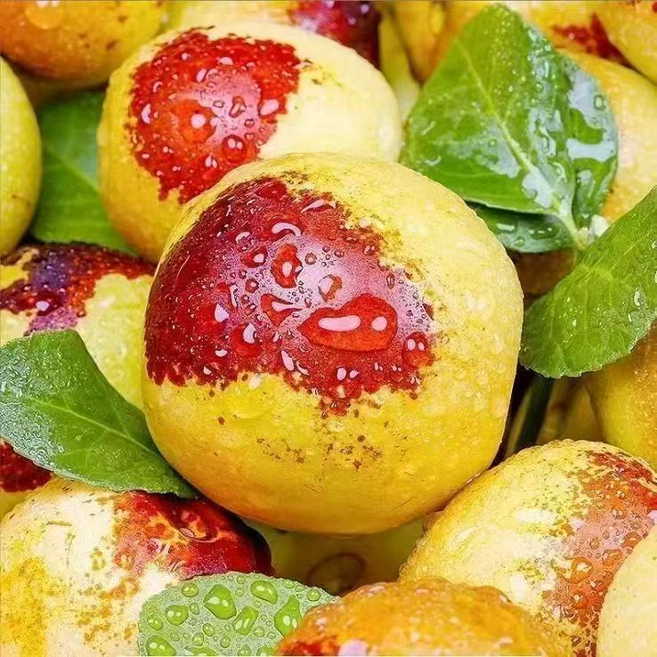 【原产地直发】山东沾化大枣冬枣脆甜多汁