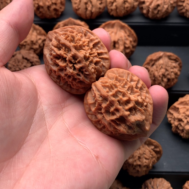 其他核桃F****y秦岭山脉的