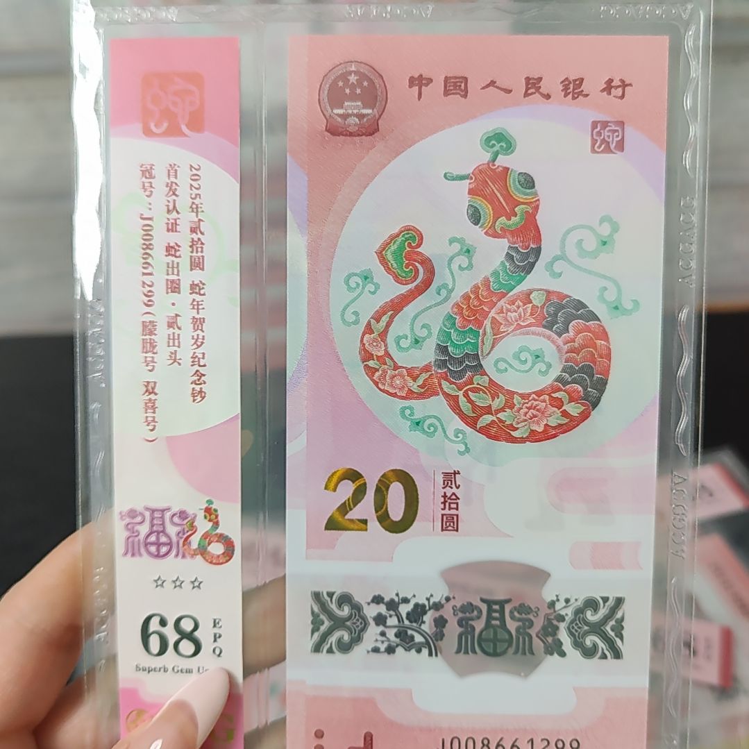 蛇钞朦胧号    008661299