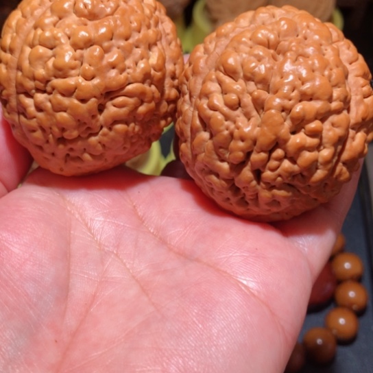 文玩核桃把件脑纹金刚菩提