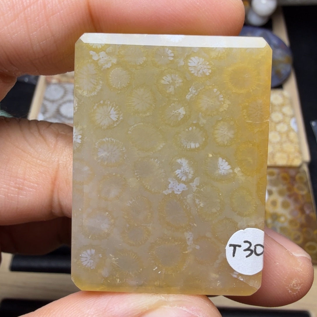 硅化玉未镶嵌纯天然色有机玉石保真色瑕疵特价不退换