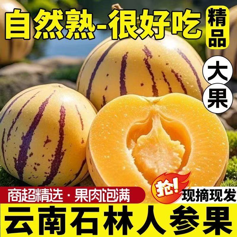 云南石林人参果黄肉果树上熟圆大皮薄清甜多汁新鲜水果坏果包赔