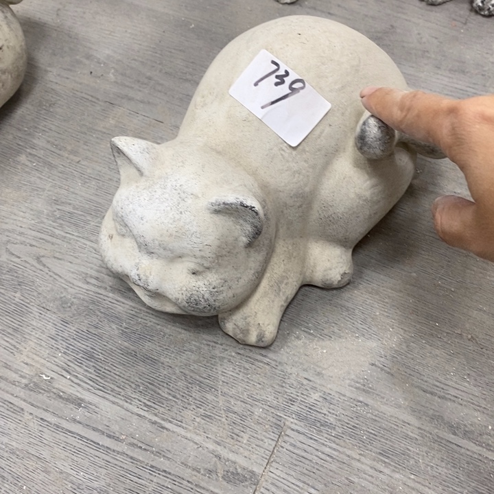花盆5494 49949494949499