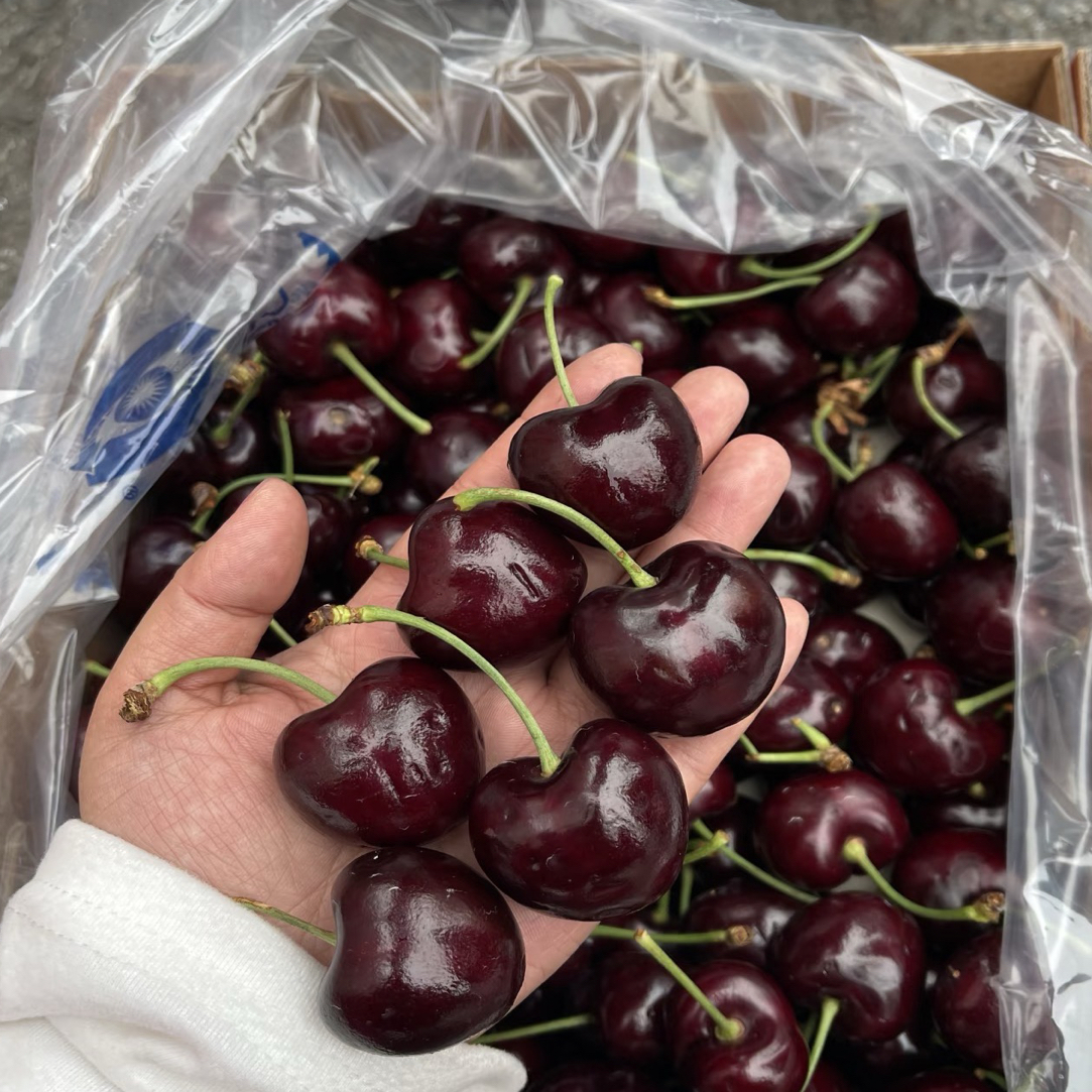 5J吉制智利车厘子净重5斤装海运智利