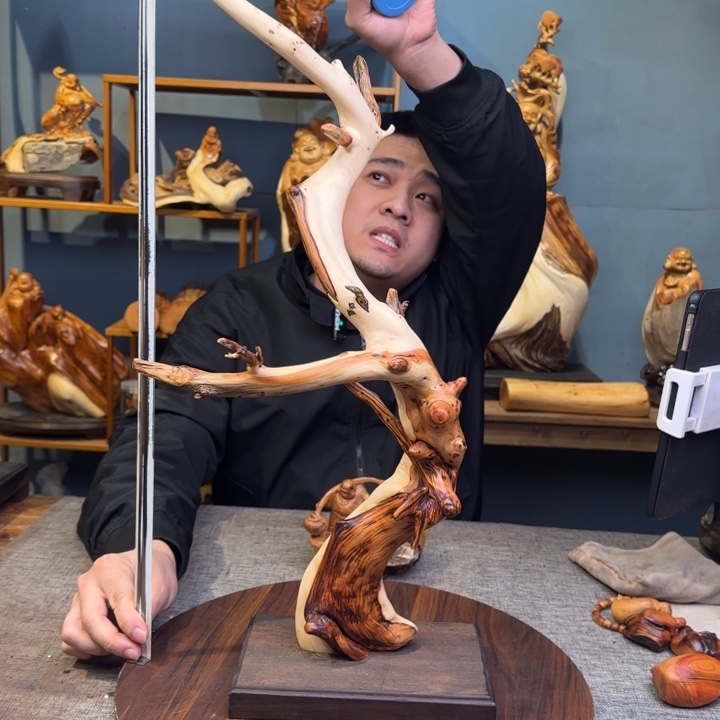 柏木（崖柏）关注一下