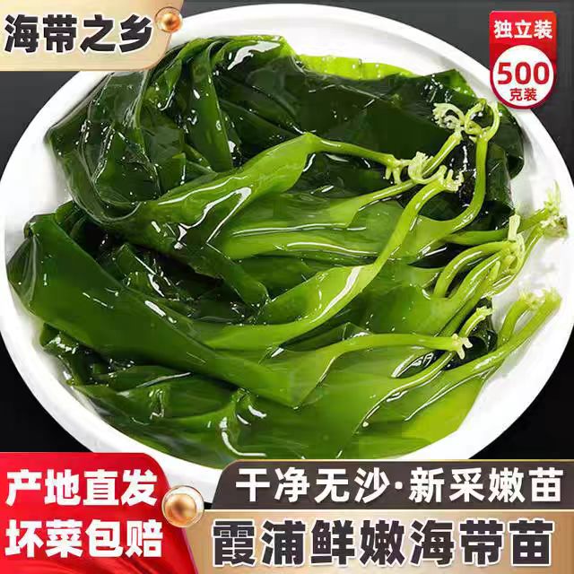 优质盐渍嫩苗营养减脂可用于凉拌火锅煮汤霞浦干福建霞浦海带