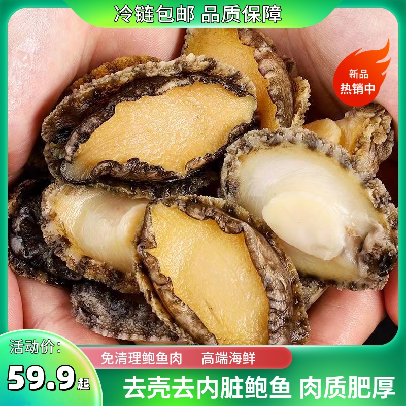 【鲜冻】4-6厘米鲍鱼肉纯肉 精选现剥个大饱满口感劲道九孔鲍 海鲜商品图