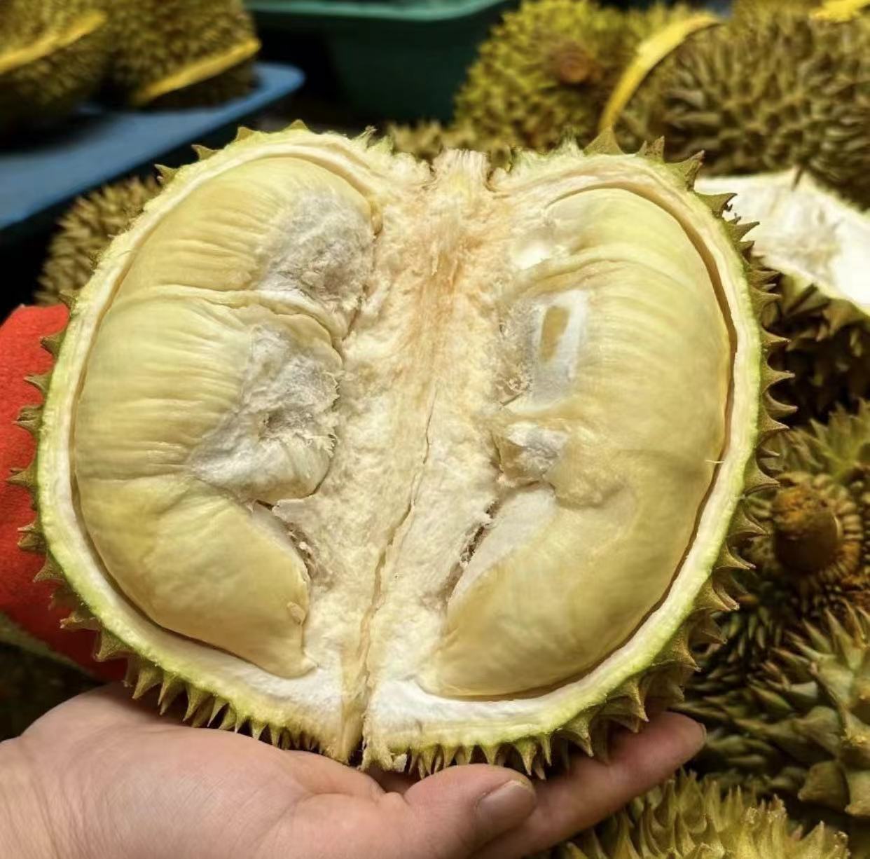 正宗树上熟 鲜果带壳新鲜水果应季 柿子 产地直发