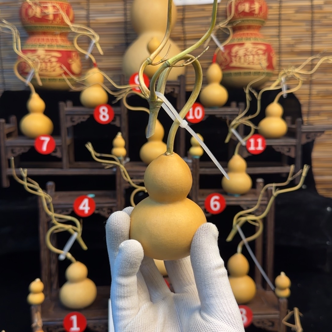 努***a啊啊啊啊啊啊啊啊啊