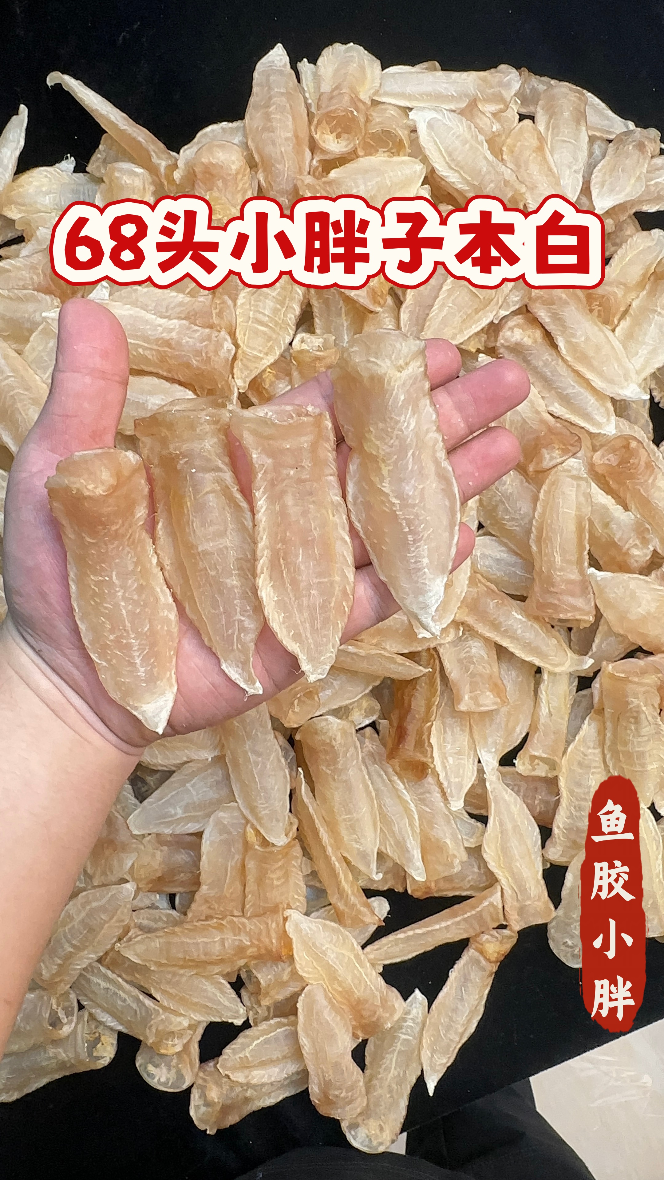 68头本白 小胖子 可爱 厚实 肉质细腻 清水足干