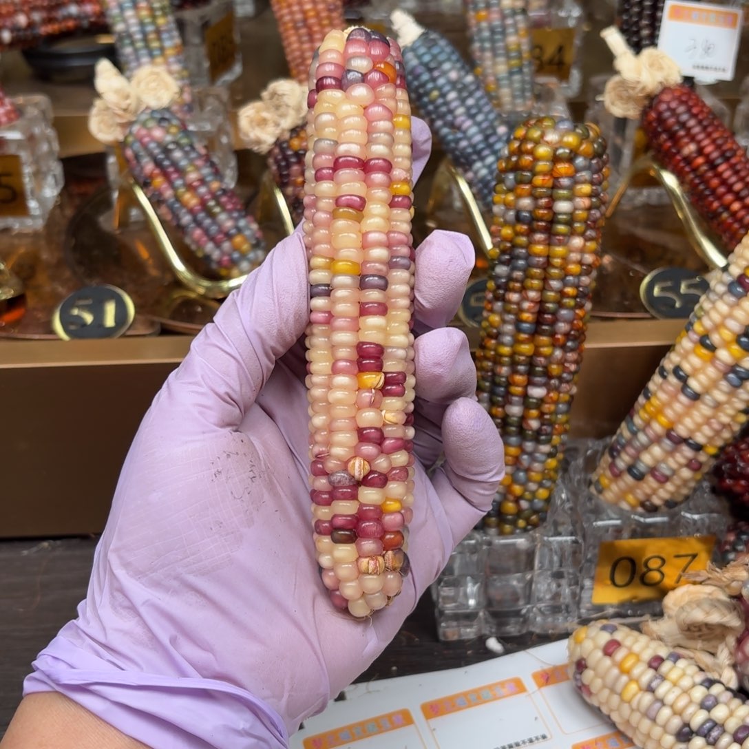 柏香籽/百香籽吊坠程*七