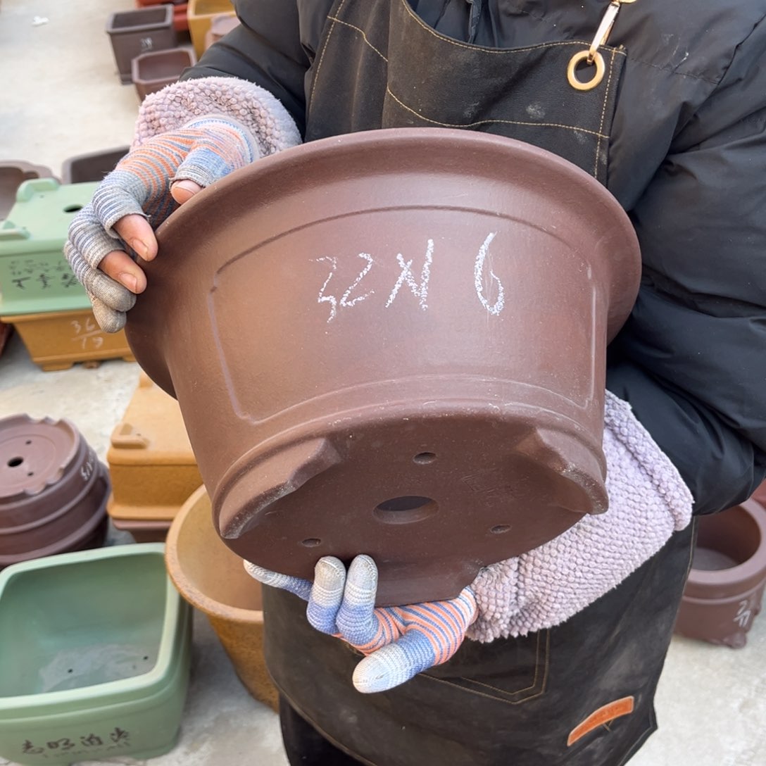 紫砂花盆盆景艺术