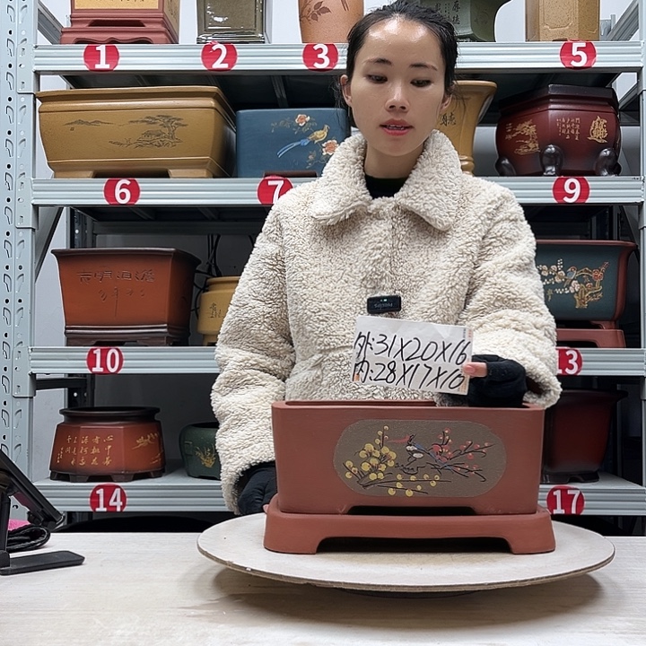 紫砂花盆紫砂花盆