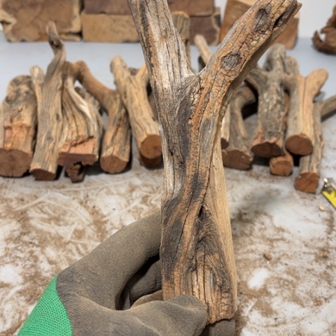 大果紫檀（缅甸花梨）?****