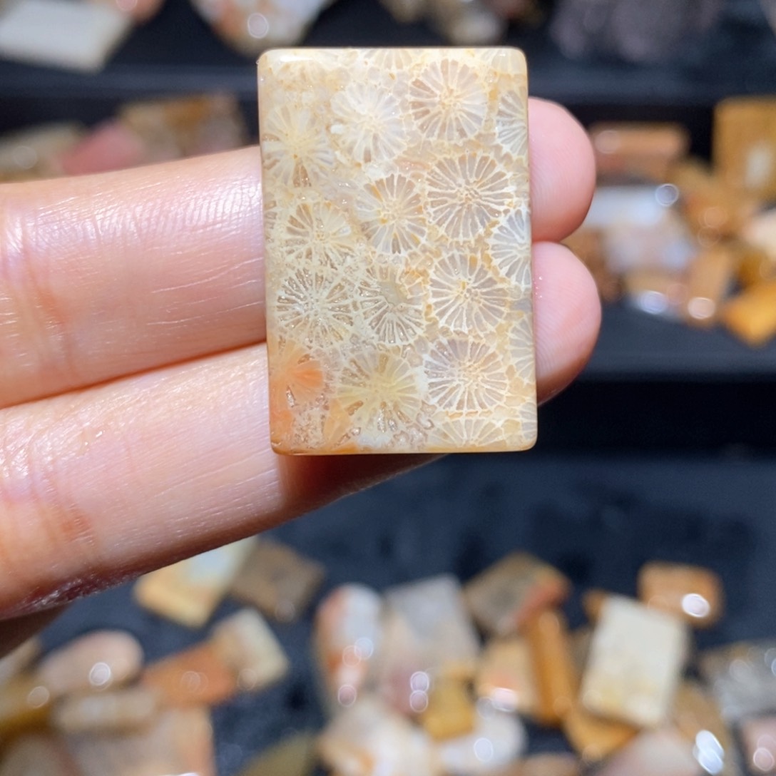 【闪购商品】硅化玉颈饰未镶嵌