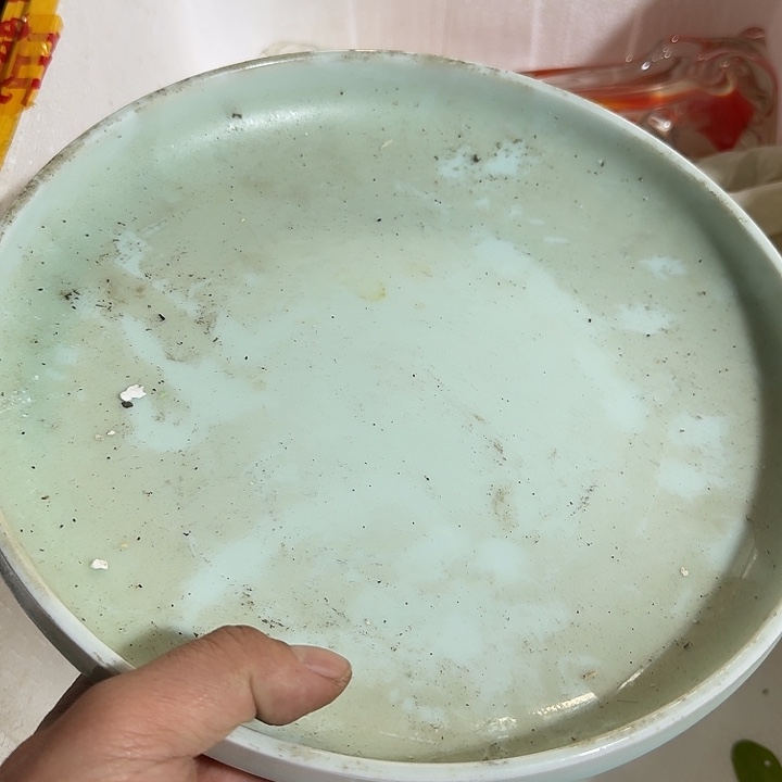 卢***哥扇子吃g给哥哥哥哥哈哈哈哈哈哈