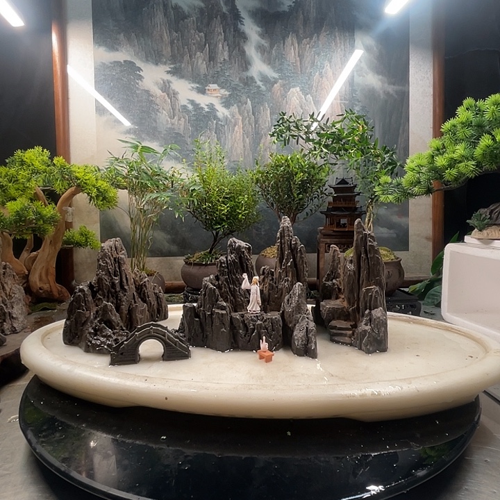 用***生3100+0007山石景观