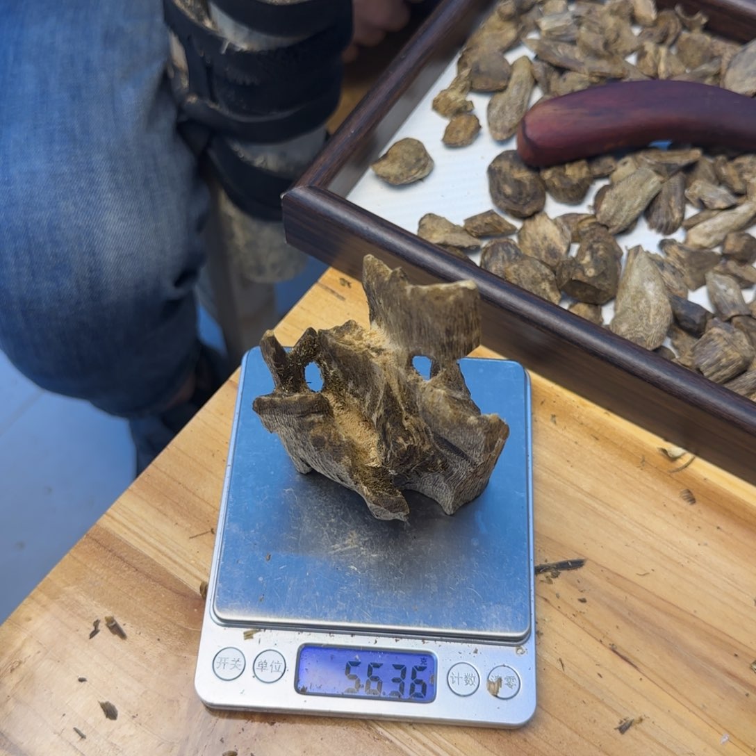 沉香碎屑沉香沉香虫漏料