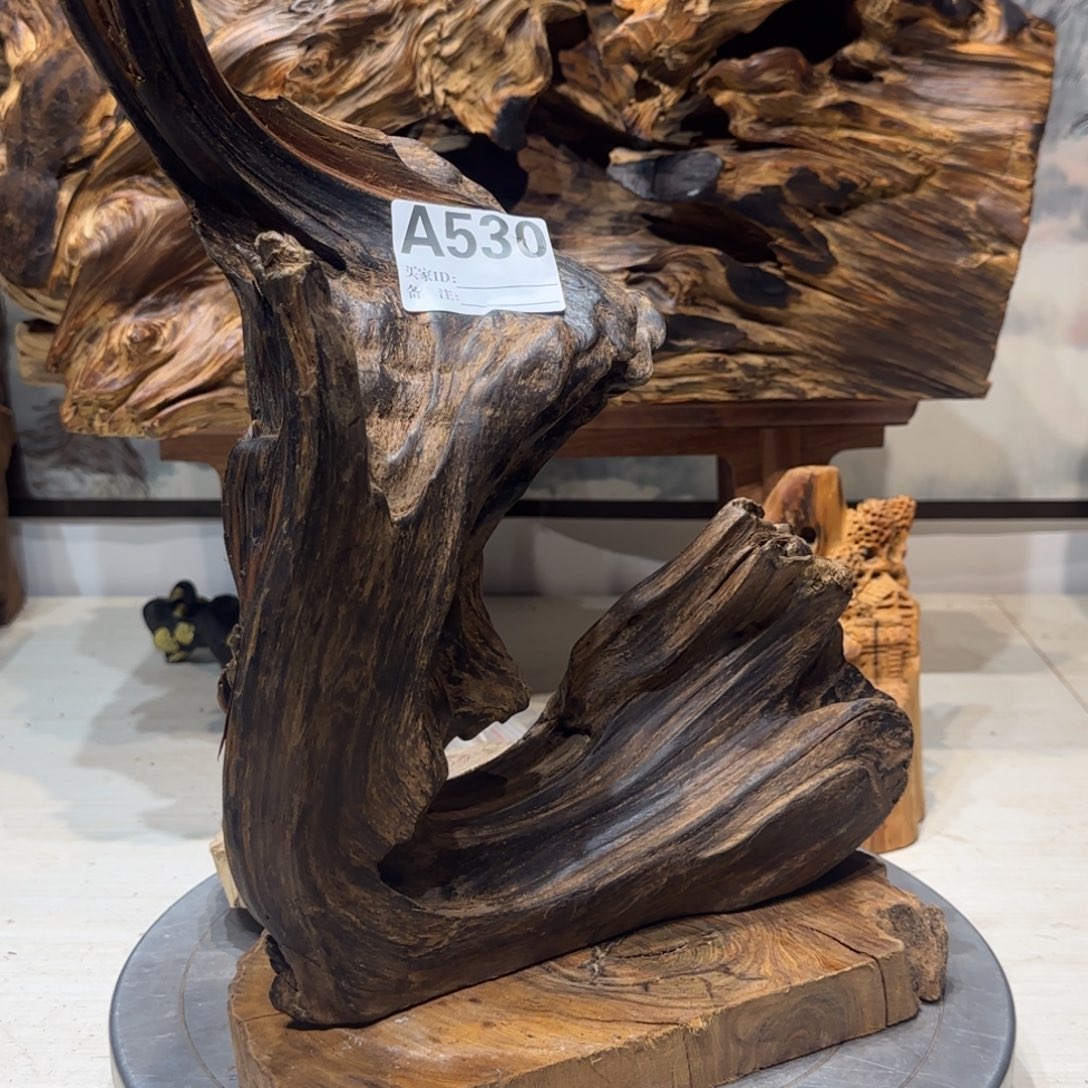 小***章木哦哦哦哦哦哦哦哦哦158