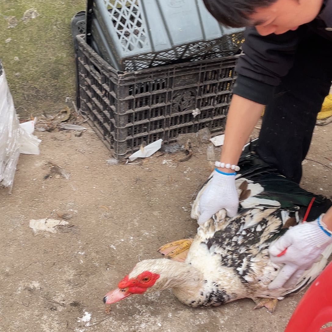 211111111中国大陆包装192号